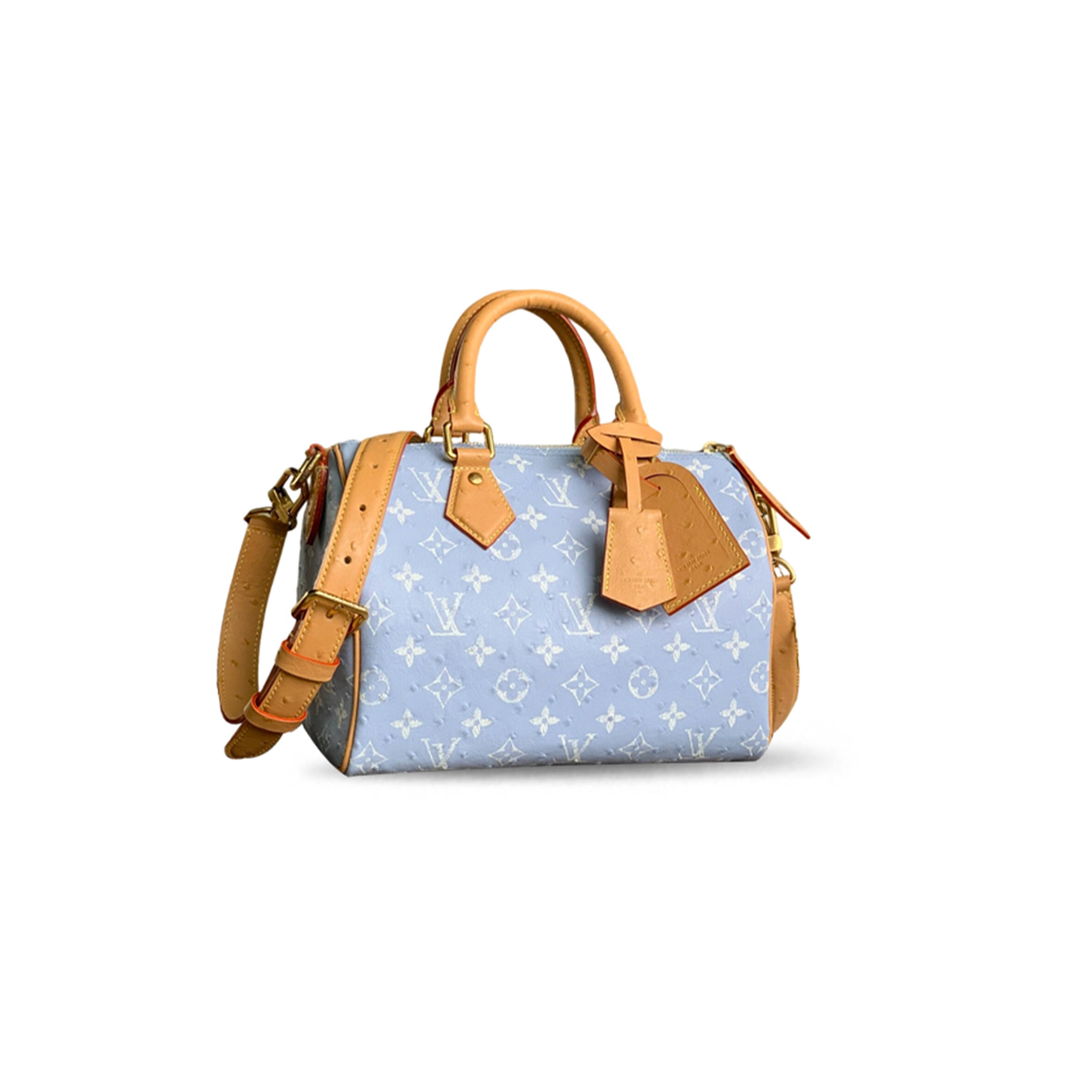 LOUIS VUITTON SPEEDY P9 BANDOULIÈRE 25 M24437 (25*15*15cm)